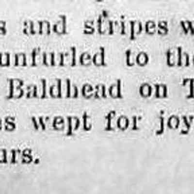cr1884102401StarsAndStripesOnBaldhead.jpg 11KB