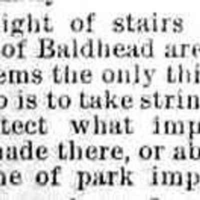 cr1887051301BaldheadStepsCoveredWSand.jpg 13KB: top of stairs burried