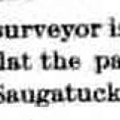 cr1894092101CountySurveyorToPlatParkAddition.jpg 6KB: surveyor expected