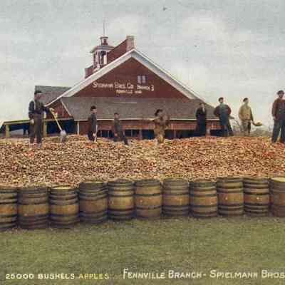 CWPC-0574Fennville-SpielmannBros-Fruit.JPG 551KB: 1909 25000 Bushels apples, Fennville Branch, Spielmann Brothers Company, Chicago