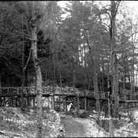          Sim Forward Move walk.jpg 1MB; Canp Gray rustic bridge over road in forested dune
   