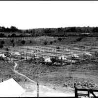          Sim fox farm.jpg 918KB; Array of fenced pens with kennels or animal hutches with long, covered entry ramps.
   