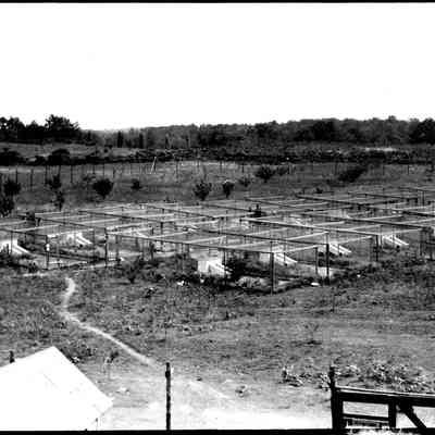 Sim fox farm.jpg 918KB: Array of fenced pens with kennels or animal hutches with long, covered entry ramps.