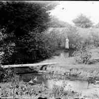          sim lady by stream.jpg 1.3MB; Woman standing along a stream with a plank bridge in the foreground.
   