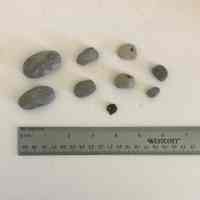 Petoskey Stones
