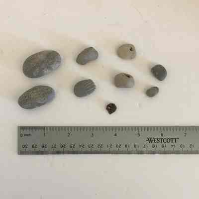 Petoskey Stones