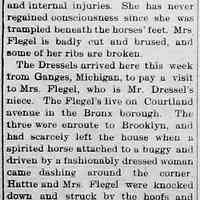          cr1903021305MissHattieDresselBadlyInjured.jpg; possibly Harriet Marie Dressel 1876-1950, buried at Taylor Cemetery. Harriet was the daughter of Anton William Dressel 1833-1911
   