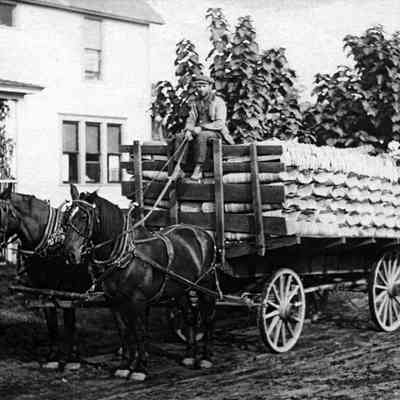 WagonFullBaskets.jpg 1.3MB