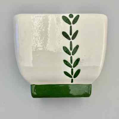 Pot, green plant on white