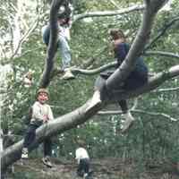 Let Us Guard Our Trees