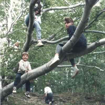 Let Us Guard Our Trees