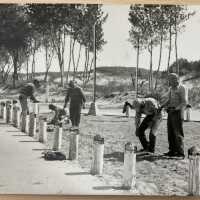          Painting the posts at The Oval
   