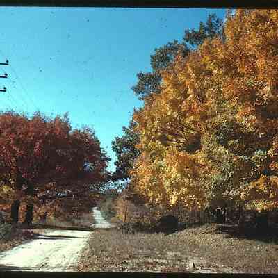 MWM-Oct25-1941-AlongOldTrolletRd.jpg 1.1MB