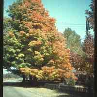          MWM-Oct1943-HollandStSaugHodge.jpg 798KB
   