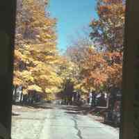          MWM-UptownStAutumnOct25-41.jpg 863KB
   