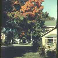          TreeNrMrsBlaineBungalowOct43.jpg 727KB; Mrs. Blaine
   