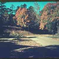          MWM-AlleganAutumn1939.jpg 1.1MB
   