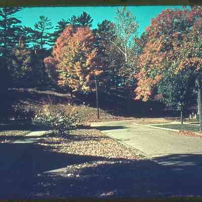 MWM-AlleganAutumn1939.jpg 1.1MB