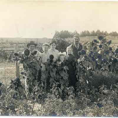 Simonson family with sunflowers.jpg 4.1MB: Simonson and Reed family members posing in a farn garden with sunflowers.