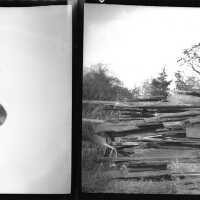          Negatives picture number 3
   