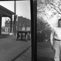          Negatives picture number 5
   