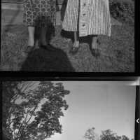          Negatives picture number 7
   