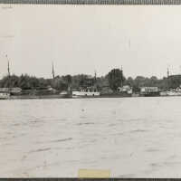Masted cargo ships loaded with wood