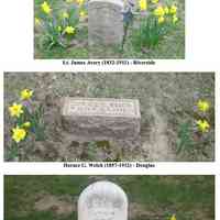          Here are a few more results from last fall's project to plant a Dozen Daffodils for the Dearly Departed (D4). This project selected 