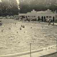          CWPC-0072BigPool.JPG 277KB; Postcard of the same image from the Carl Walter collection
   
