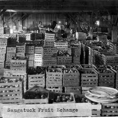 Saugatuck Fruit Exchange - disputed