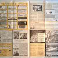          Douglas Village Voice picture number 2
   