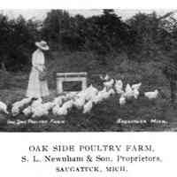          Oak Side Poultry Farm, S.L. Newnham & Sons.
   