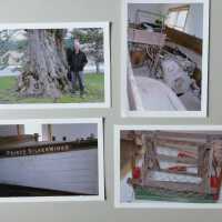 Demerest photos of Prince Silverwings, net reel model and Jim Schmiechen by a very old tree on the Demerest property