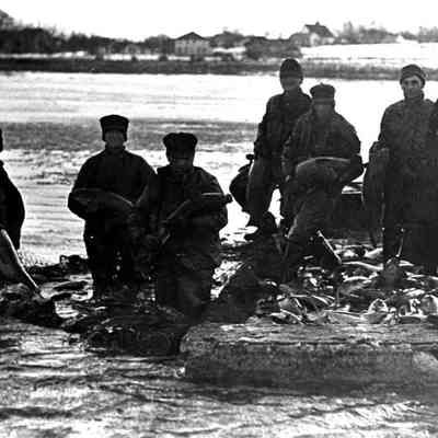 Carp_fishing.jpg 246KB: carp fishing