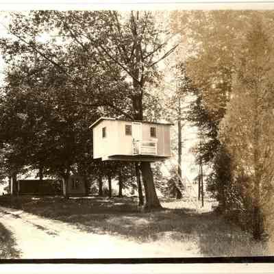 Tree Houses