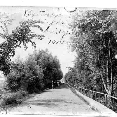 89-1-208_A_Levee_1900.jpg 1.2MB: box 31, envelope 89-1-208