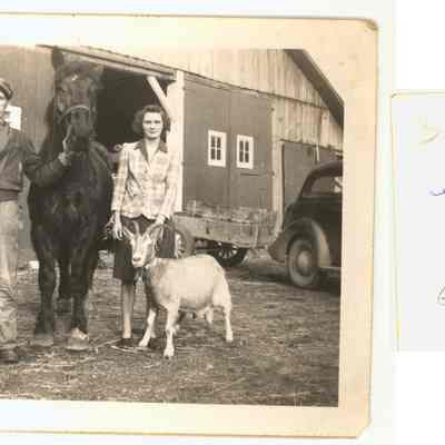 GerritGoldieHorsesca1949.jpg 1.2MB: Digital file on Jack Sheridan Drive 2021.72.02