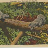          Greetings from Douglas, Mich. Postcard
   