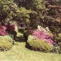          BrownAlbum-Scan10230.JPG 344KB; Sample image from Mann's 1977-82 brown-cover photo album
   