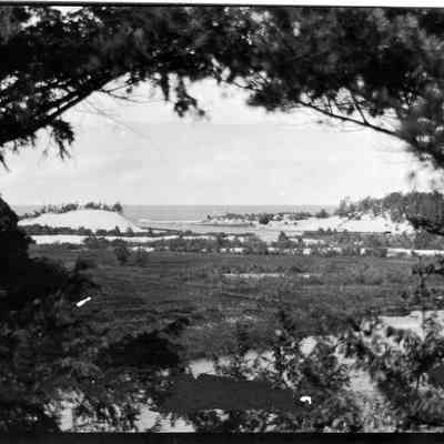 95_84_11_New_cut.jpg 983KB: Digital file on Jack Sheridan Drive 2021.72.02. Original in box 31, envelope 95-84-11