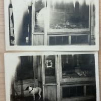 Store Fronts