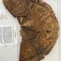 Log dollar stamped E