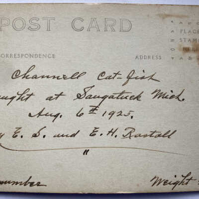 Real photo postcard, digitial copy from Rita Rastall Jan. 2022: Channel Cat-Fish caught at Saugatuck Mich Aug. 6th 1925, by E.S. and E.H. Rastall 18 in number, Weight 22 lbs.