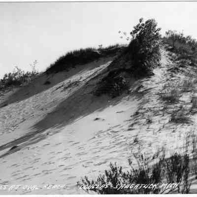 Oval_beach_dune_postcard.jpg 700KB