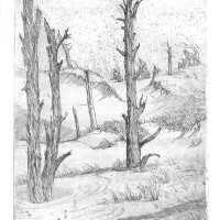 Derelicts at the Dunes