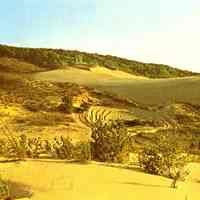          Goshorn dunes photo.jpg 1.2MB
   