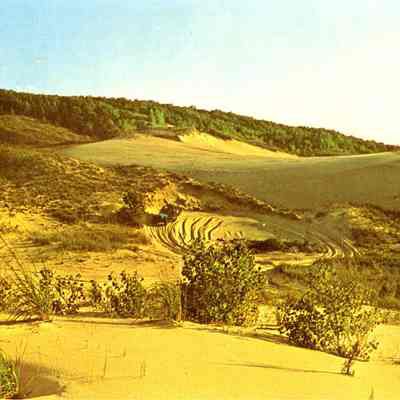 Goshorn dunes photo.jpg 1.2MB