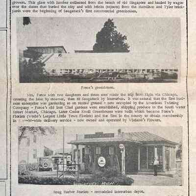 D. M. Force in reconditioned "Democrat" wagon
CONGRATULATIONS, SAUGATUCK -- home town of the Forces since 1901. The best of your forests were gone, the peach era was fast coming to an end because of an uncontrollable disease called Yellows, the stumps of the pine and the peach kept our home fire burning for many winters. There was a poverty situation but most were too busy to recognize it.
We were newcomers then from the depression-stricken city of Elgin, Illinois (the Cleve-
land panic, it was called). Delos Mettier (D. M.) liked what he saw - a busy town and the natural surrounding beauty. This new life and escape from a financial disaster was a pattern
set by our ancestors - Huguenots fleeing France for their lives to a new land and a new life.
Little notice was given when D. M. drove into town with his two boys in a Democrat wagon (a one-horse light delivery wagon) all the way from Illinois, a few personal belongings and several boxes of greenhouse glass, for he had been one of Elgin's pioneer nurserymen and flower growers. This glass with lumber collected from the beach of old Singapore and hauled by wagon over the dunes that buried the city and with bricks (rejects) from the Hamilton and Tyler brickyards were the beginning of Saugatuck's first commercial greenhouses.
Mrs. Force with two daughters and three sons made the trip from Elgin via Chicago,
crossing the lake by steamer, then to Saugatuck by Interurban. It was natural that the first business enterprise was gardening so on rented ground - now occupied by the American Twisting Company - Force's old Iron Clad gardens were established, shipping produce to the South Water Street Market, Chicago. Later Cedar Knoll Greenhouses were built which became Force's Florists (World's Largest Little Town Florists) and the first in the county to obtain membership in a world-wide delivery service - now owned and operated by Wieland's Flowers.
Force's Snug Harbor Service Station was owned by F.E. Force - remodeled from the old Interurban depot - now the new rebuilt Shell Station at the stop light.
Charlotte Force (Lottie Brown) is a licensed broker and real estate dealer.
Force's Mole Killer was invented and manufactured by D. M. Force, now a product of Carojon Chemical Co., Fremont, Michigan, and now Force's Gifts owned and operated by Russell and Jean Force.