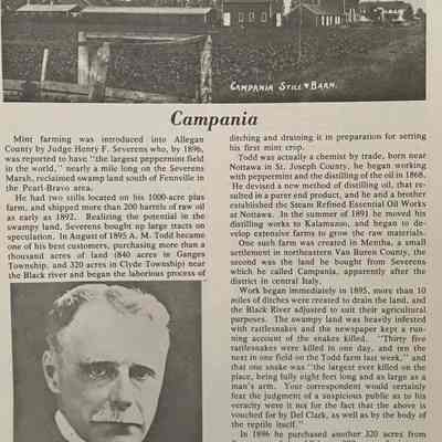 From Kit Lane’s “Fennville Area: Fruit Belt of Western Allegan Co., Michigan.”: By 1913, Campania had 17 buildings including worker housing, store, school, barns, mint distilleries, hotel, bath house, residences. Hundreds of people worked the farm in the summer. Todd, who based his business in Kalamazoo, also developed a profit-sharing plan for his workers.
Besides mint, Todd’s Fennville farm grew sugar beets, hemp for rope, onions, celery, potatoes and corn.
By 1924, a disease began ravaging the West Michigan mint plants and the demand for the West Michigan product declined.

Game area
The Todd site became a state game reservation in 1950. It is a refuge for Canada geese whose annual migration spawned the Fennville Goose Festival in 1985 that brings visitors to the community in October.
The Todd plantation buildings were eventually taken apart or relocated. One is now at the Gilmore Car Museum in Hickory Corners.
Todd died Oct. 6, 1931. In his life, he had run unsuccessfully for governor but was elected to Congress. He traveled the world and his donations of rare artifacts helped establish the Kalamazoo Public Museum in 1927. His collections of art and rare manuscripts are housed at Western Michigan University and the University of Michigan.
The A.M. Todd Company remained in business and was sold to a Swiss company in 2011 then Archer Daniels Midland in 2014.

Source: https://bicyclebasefennville.wordpress.com/2022/07/04/on-the-road-again-ride-through-the-realm-of-the-peppermint-king/