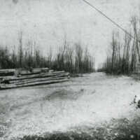          89-1-495 Henry Bird Lumber Camp.jpg; 218 KB from Rob Carey CDs
   